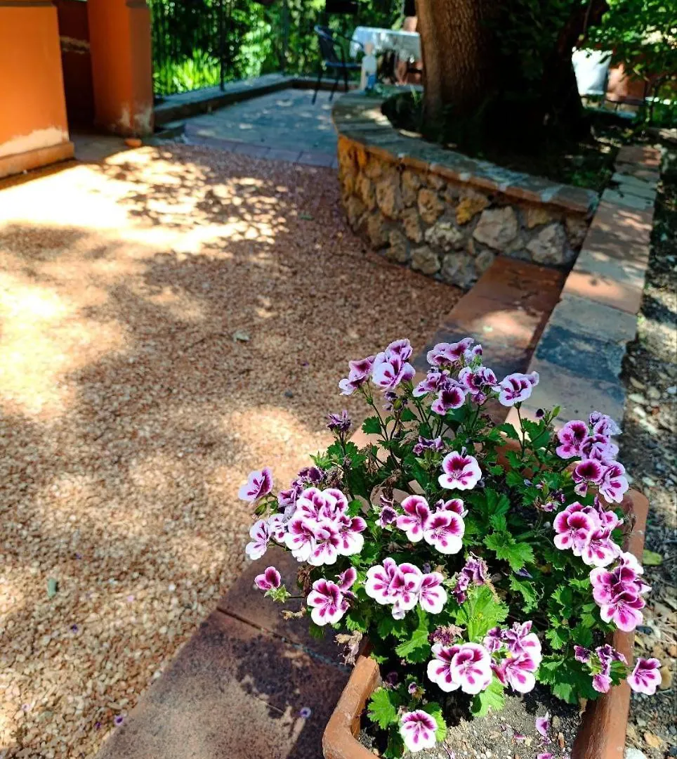 Podere San Filippo B&B-Apartment-Pet Friendly-Rent Bike And Bike Friendly Bibbona 3*,