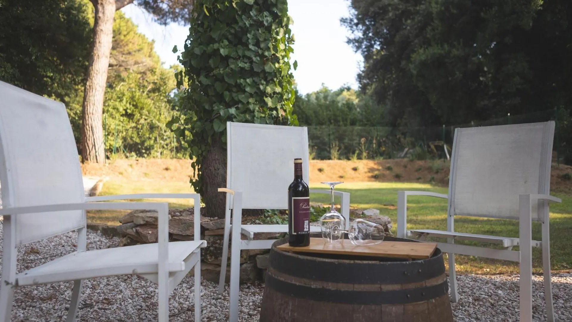 Podere San Filippo B&B-Apartment-Pet Friendly-Rent Bike And Bike Friendly 비보나 이탈리아