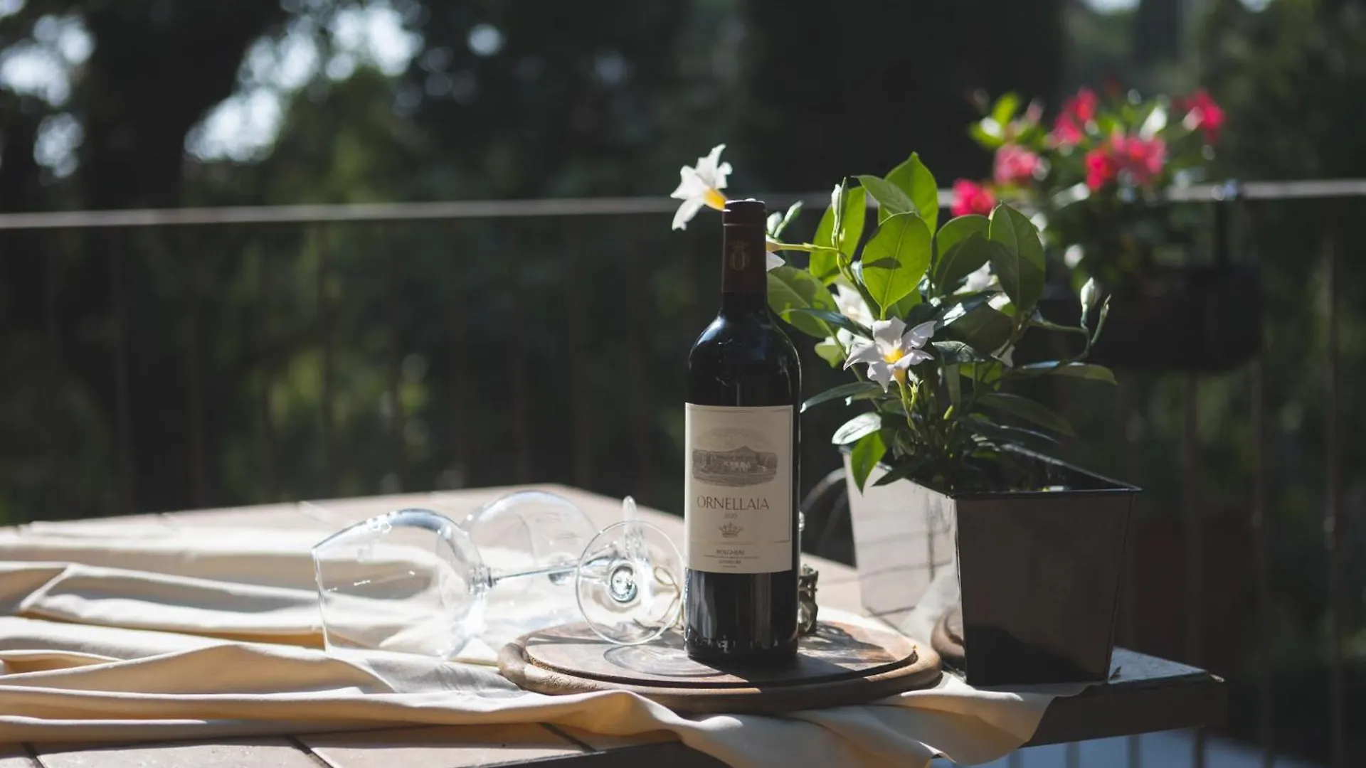 Podere San Filippo B&B-Apartment-Pet Friendly-Rent Bike And Bike Friendly 비보나 이탈리아